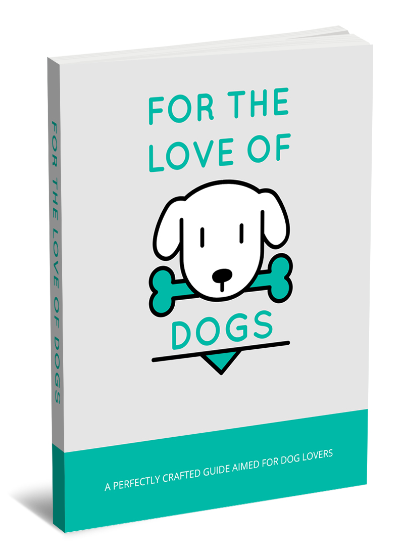 Digital book – a gift with every purchase🎁