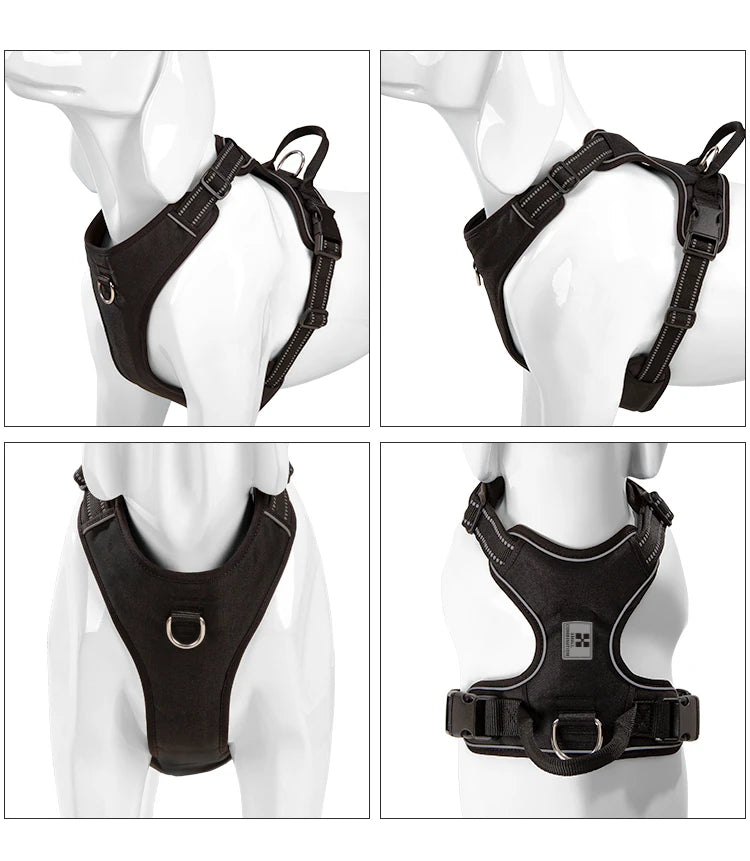 Dog body harness - Comfort 