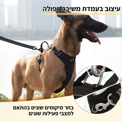 Dog body harness - Comfort 