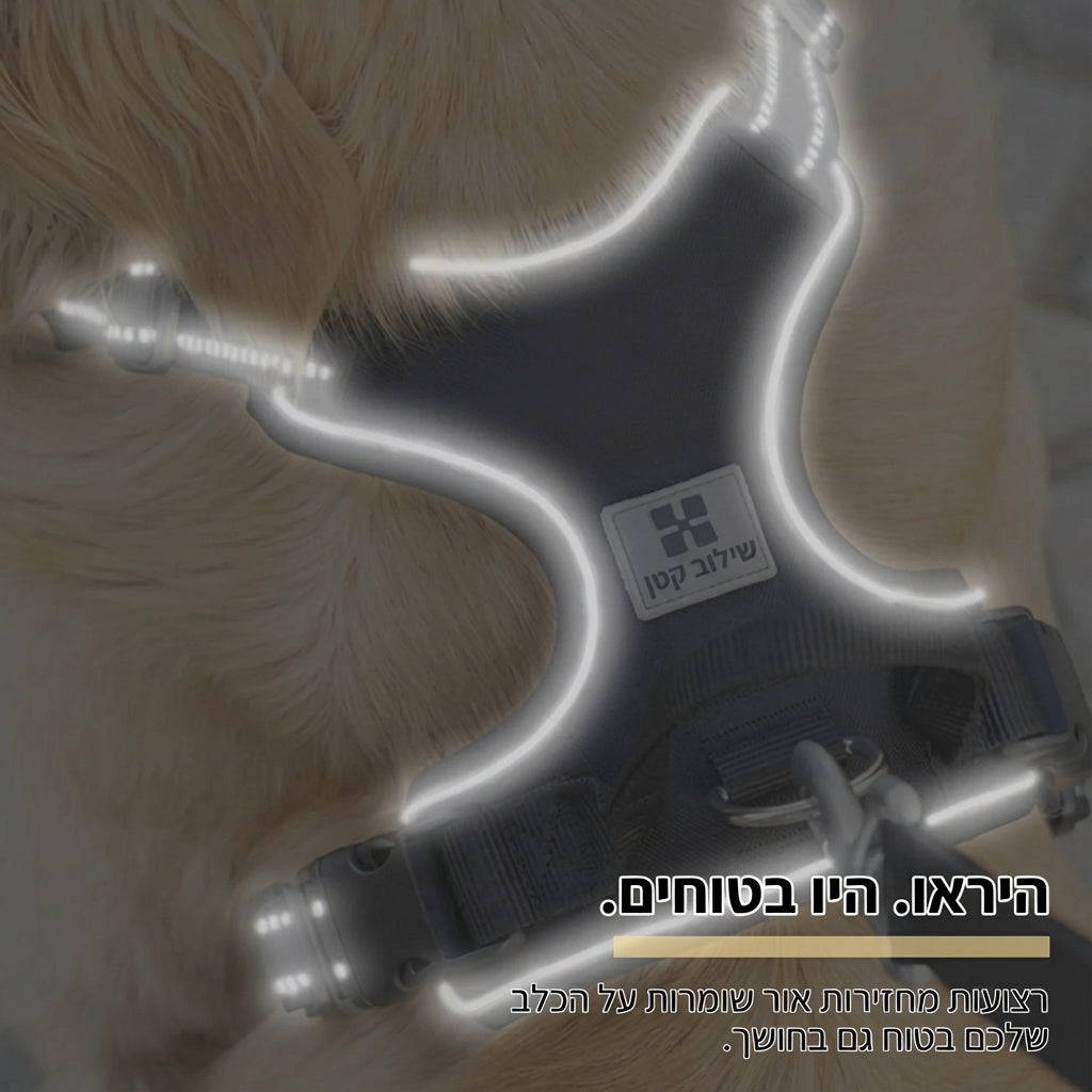 Dog body harness - Comfort 