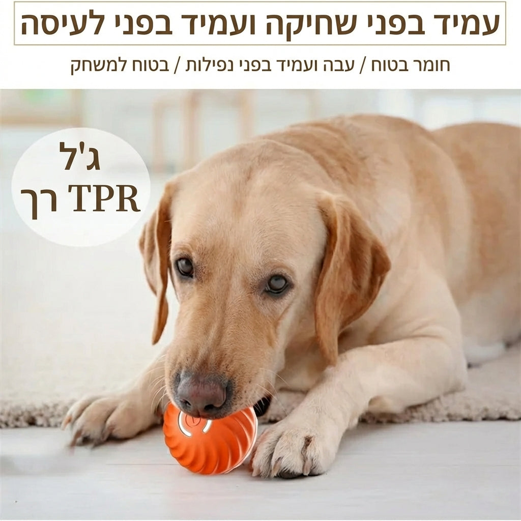 Smart Ball - Automatic and fun game